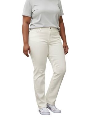 Levi's Women's Classic Straight‎ Plus Size Jeans, Color White, Size 24W M